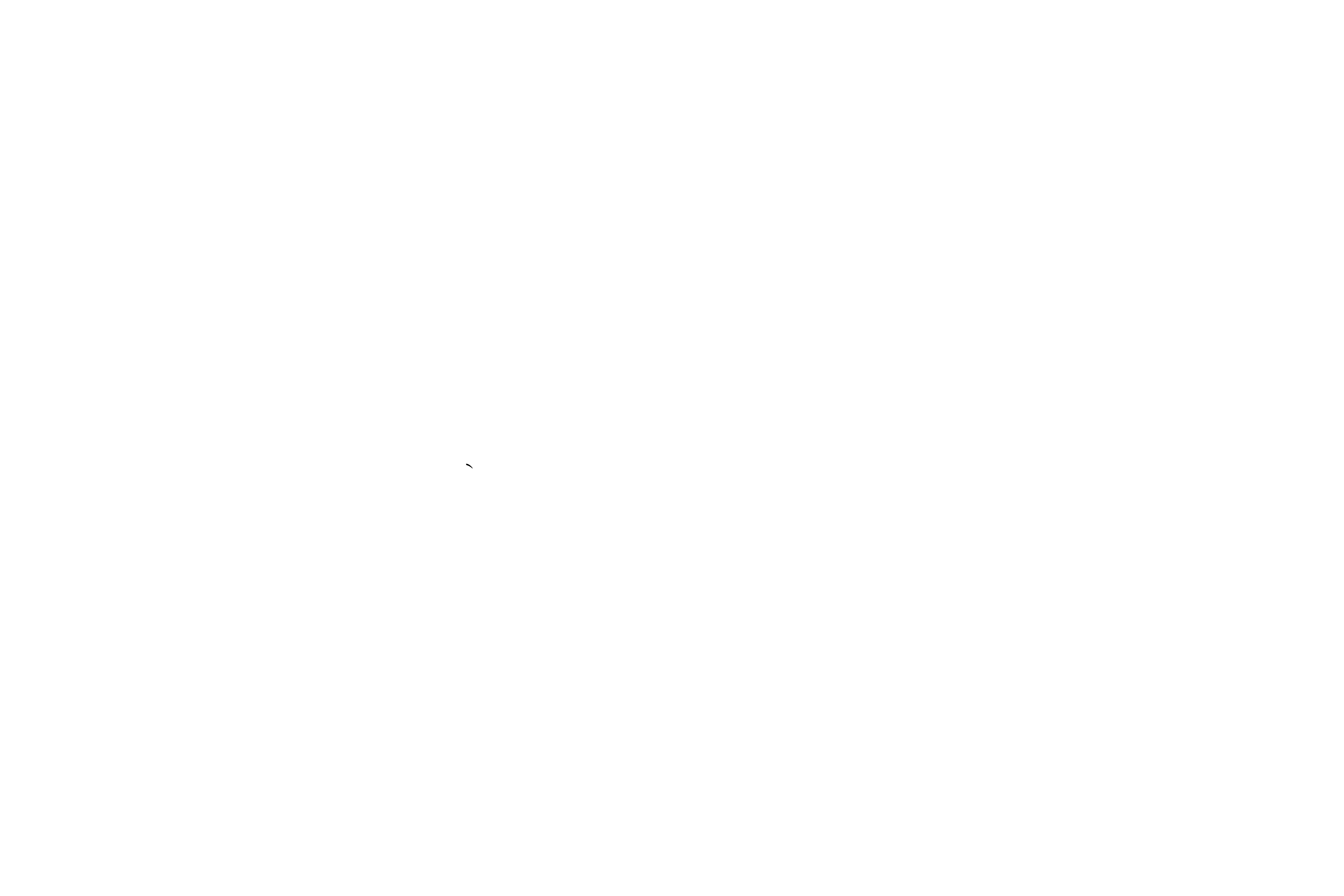 CMP.PHOTOGRAPHY