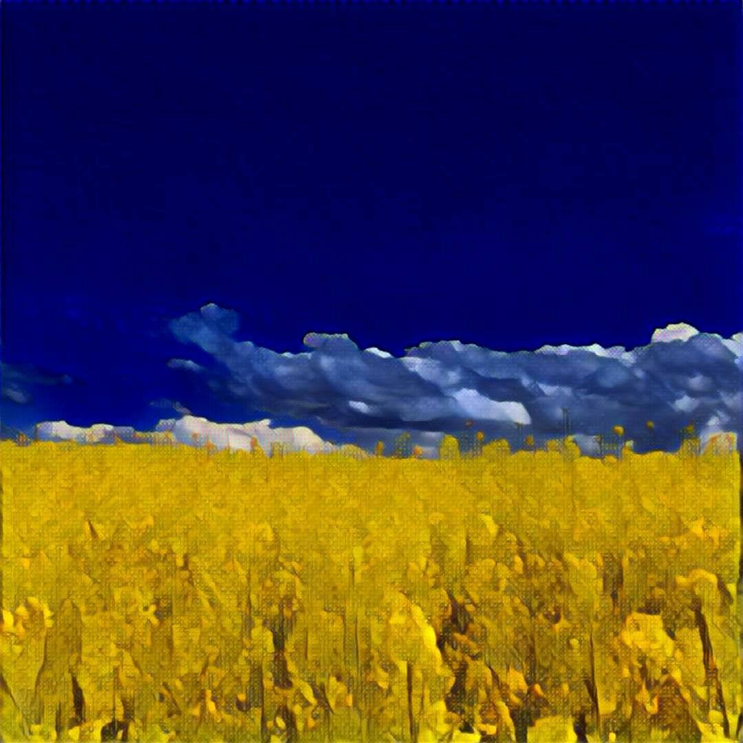 From my blue and yellow phase...