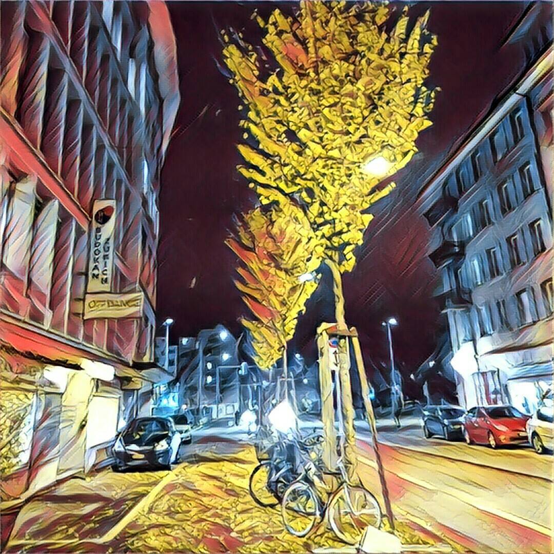 Autumn night in Zürich