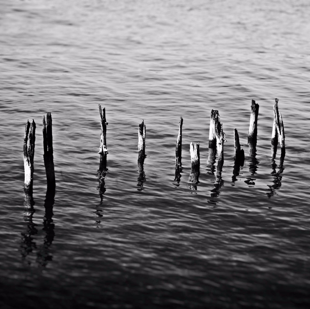 Yesterday at the lake...