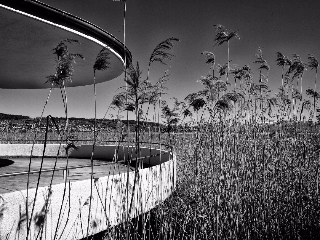 Btw. in around 3 weeks time the open air bath season will (well theoretically) start over here :-) (lets drown the damn thing).