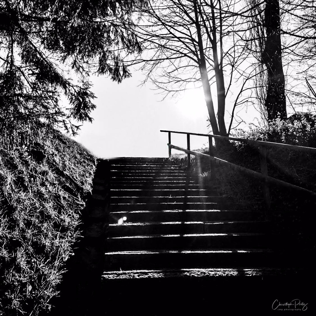 I wonder where the journey will go and on which step we are...