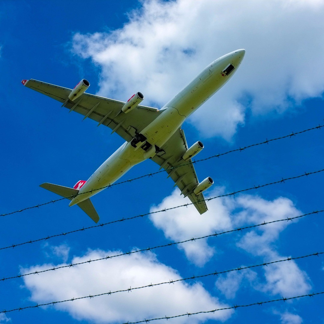 For once not from our garden, but I liked the idea.
.
.
.
.