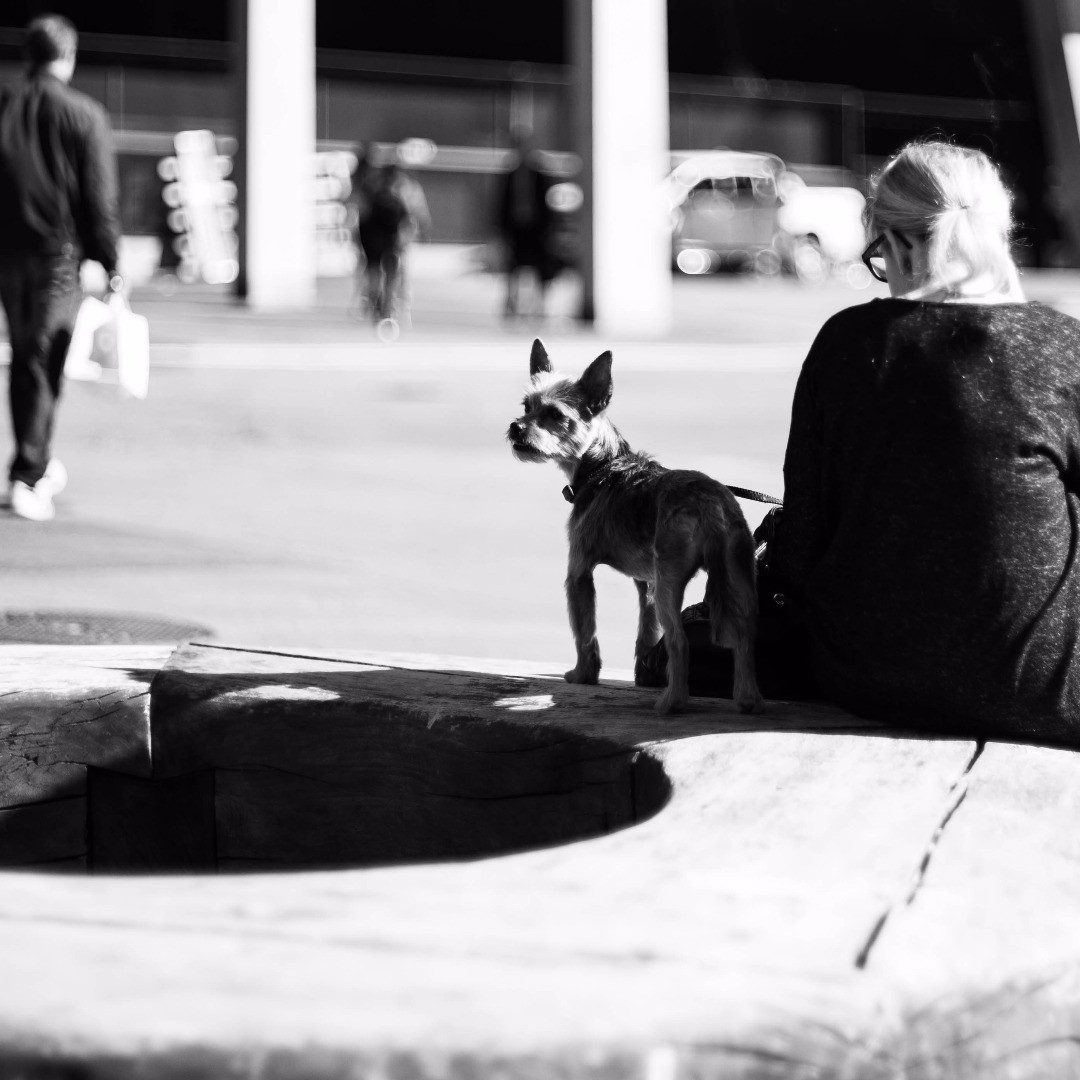 I wonder when me and my camera get back on the street for more practising :-) .
.
.