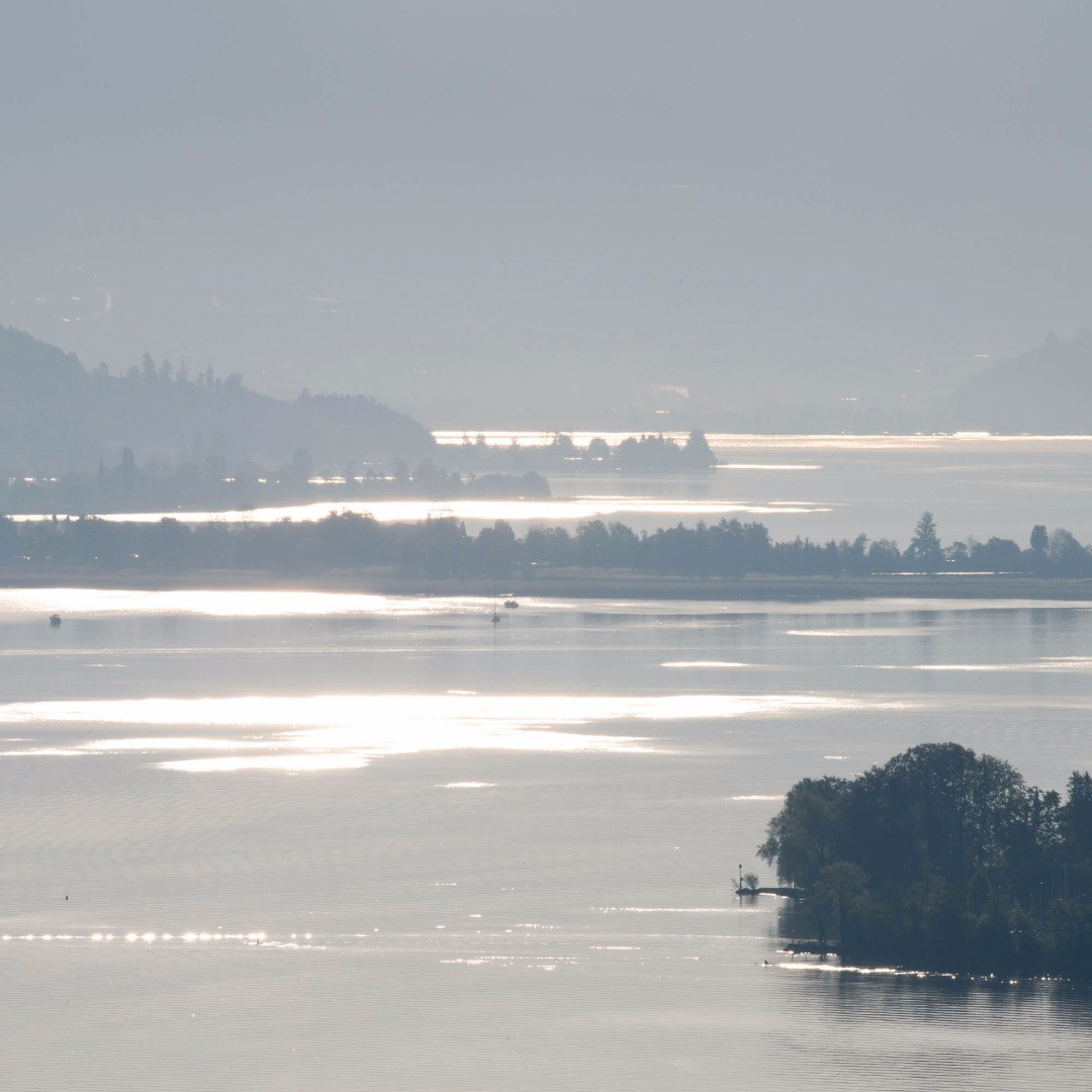 We live a little outside of Zurich and one of my before Corona time goals was already to show the beauty of the landscape over here. Now that we should not go too far away from home let's have a series of pictures from our balcony. orning view earlier this week...
.
.