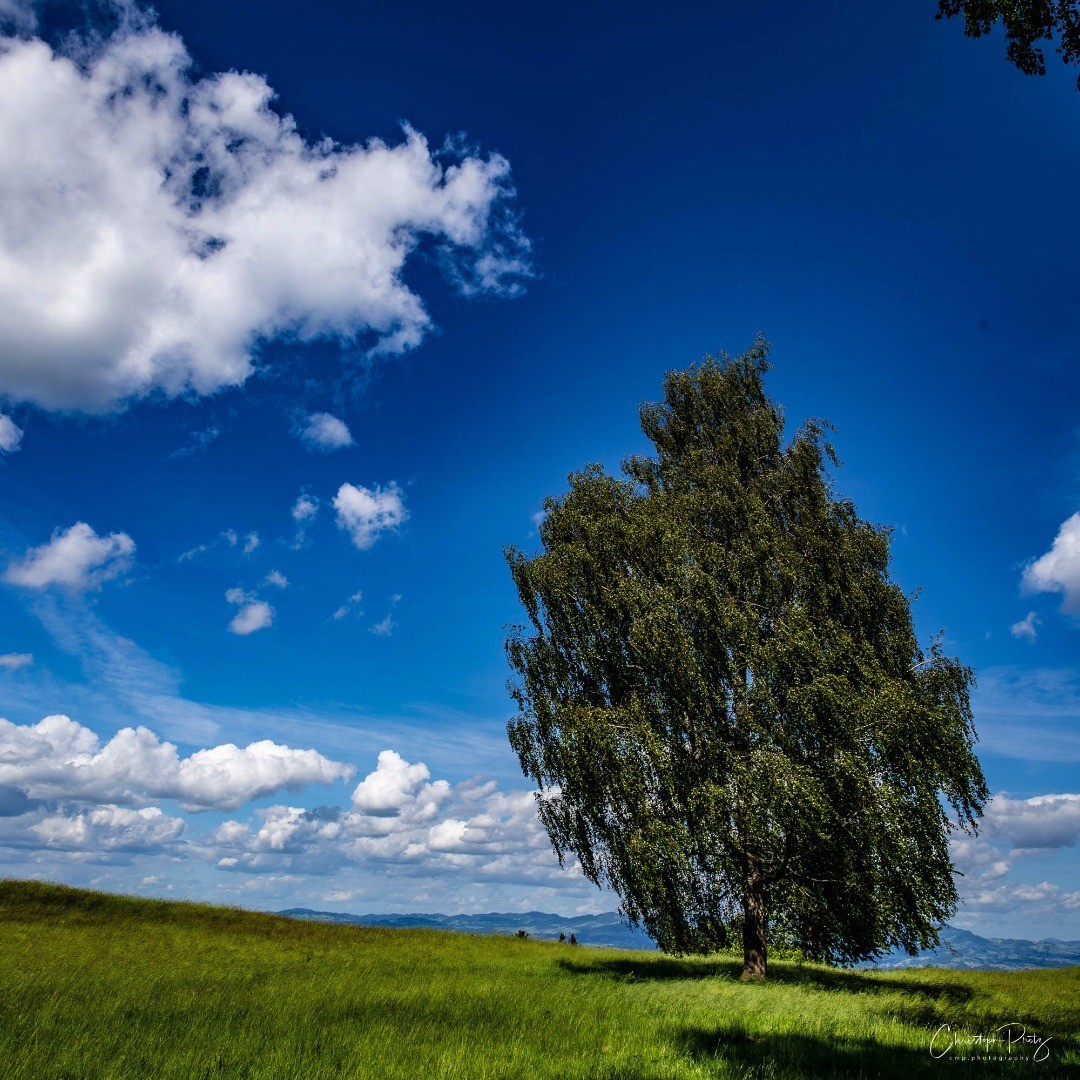 We live a little outside of Zurich and one of my before Corona time goals was already to show the beauty of the landscape over here. Today I was scouting locations for a future photo shooting and was once more amazed, why go far away the good is so close :-)
.
.
.