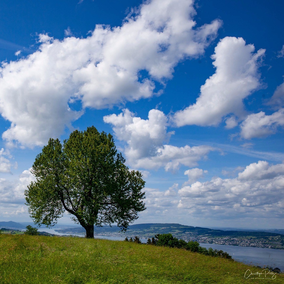 We live a little outside of Zurich and one of my before Corona time goals was already to show the beauty of the landscape over here. Today I was scouting locations for a future photo shooting and was once more amazed, why go far away the good is so close :-)
.
.
.