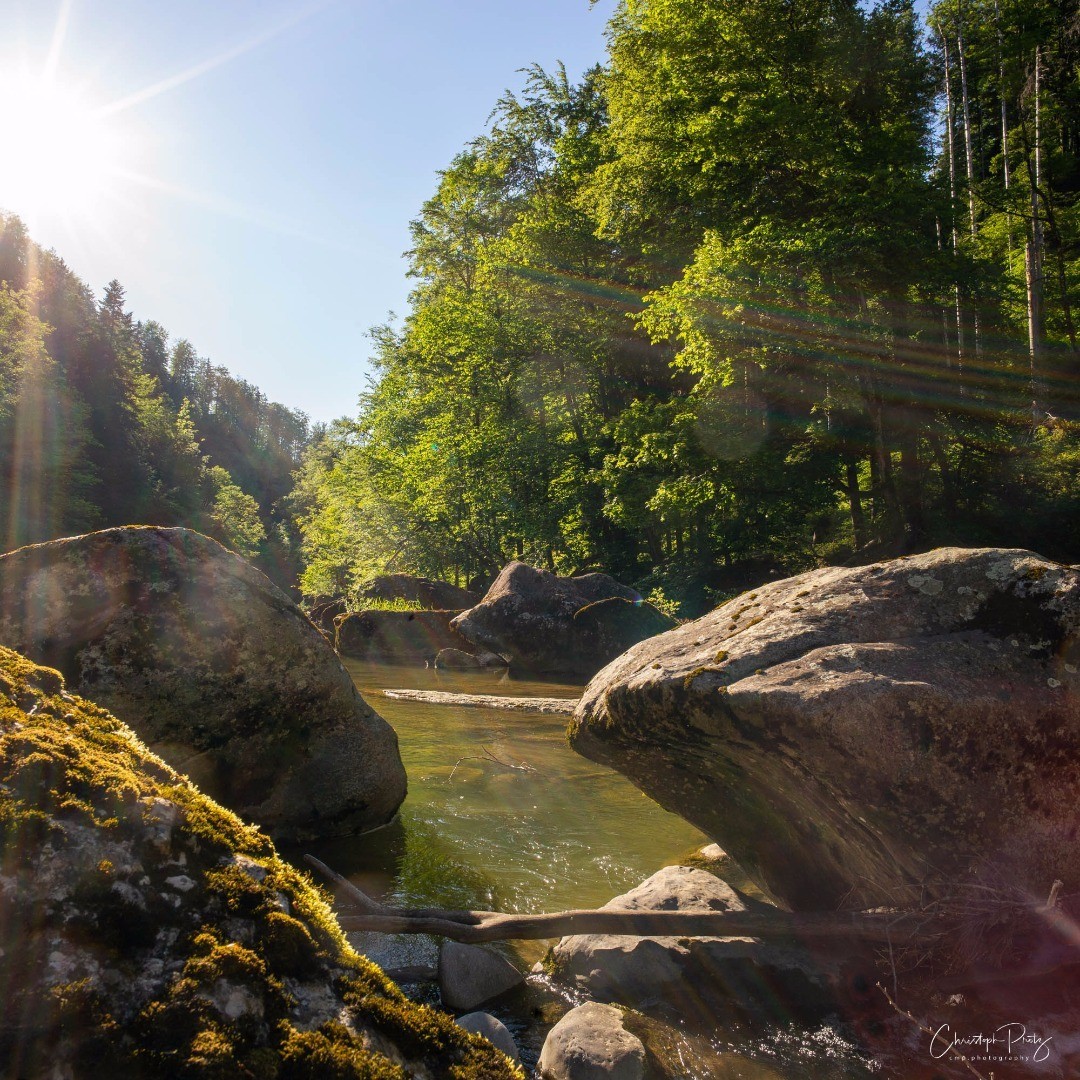 We live a little outside of Zurich and one of my before Corona time goals was already to show the beauty of the landscape over here. A few days ago I was scouting locations for a future photo shooting and was once more amazed, why go far away the good is so close :-)
.
.
.