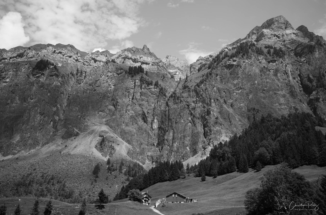 One more shot from our little trip with the convertible. The image is practically unedited (just opening the DNG in Lightroom without any change in settings), I think I'm really going to like this camera.
.
.
 
 #naturelovers  # #

https://cmp.photography/?p=4845