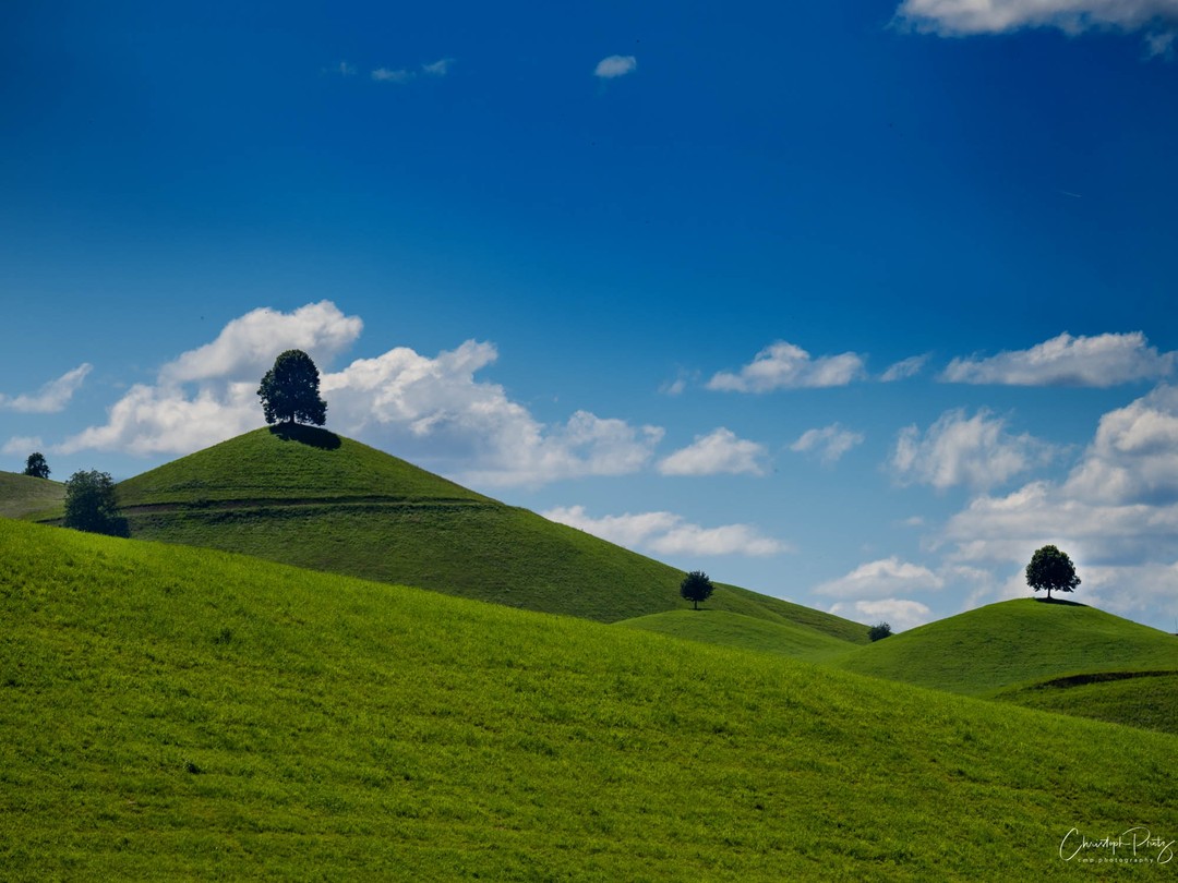 There is this famous area where many of the tiny little hills have a tree on top near Hütten (a few minutes from where we live). I saw a super cool sunset shot with a perfect alignment of the hills a few days ago. This might also be a nice environment for milky way shots, thus I was checking locations today, need to hike around there a little more :-)
.

https://cmp.photography/?p=4856