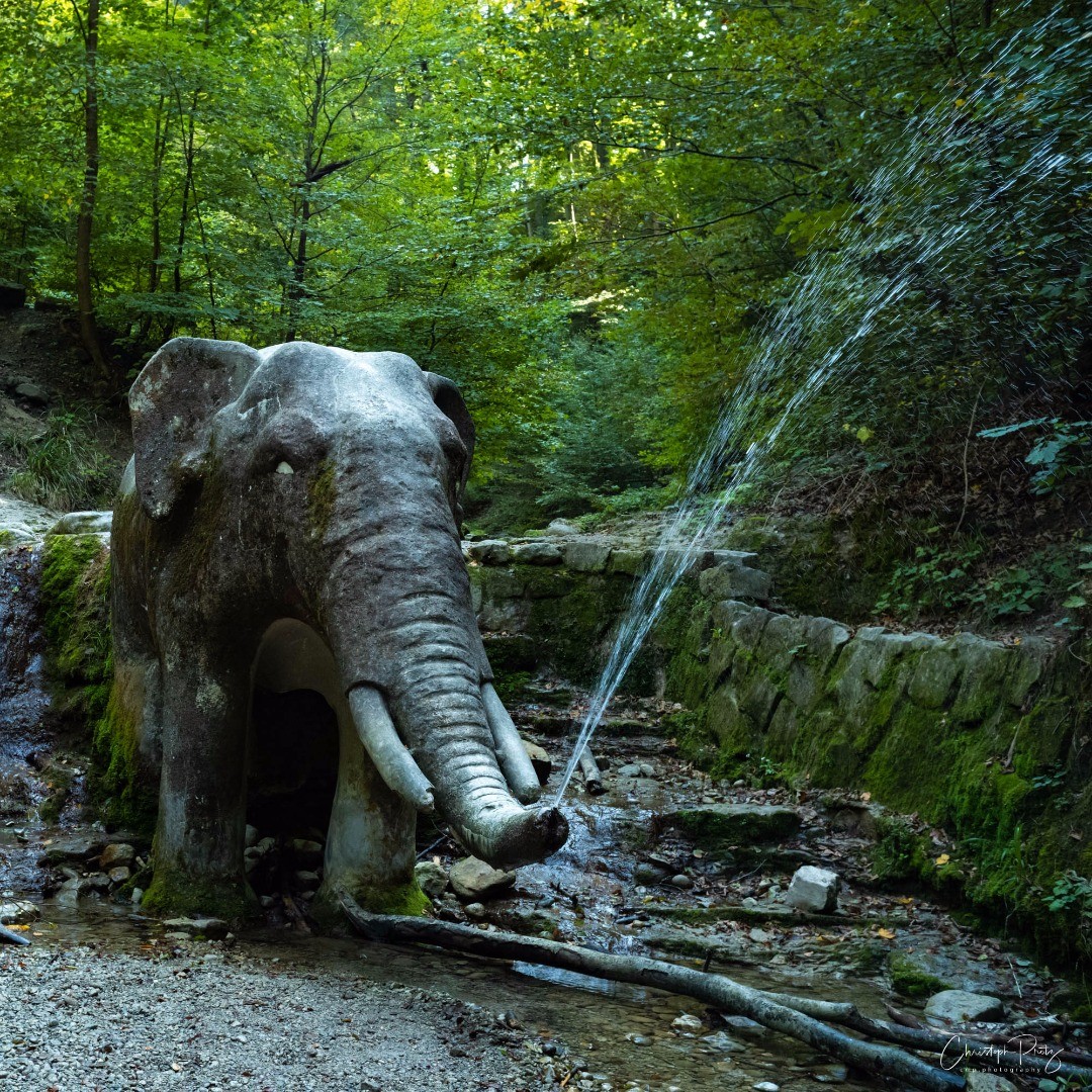 Last year we discovered in an exhibition of the architectural history archive, I think it was called Zurich a 100 years ago or so, the story of the Elephant in the Elefantenbach (elephant stream). The name of the stream is interesting as such when you remember your grammar school and what they teached you about "field names" and also that maybe the last time before that Attila was here with a bunch of them to cross the alps . So the concrete elephant is still there, more then 100 years. It was a nice city hike where you forgot after a few minutes that you still are in Zurich itself…