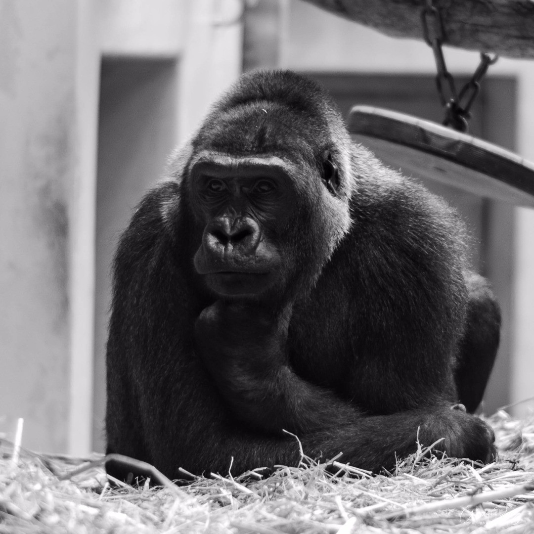 Thoughtful...
.
.