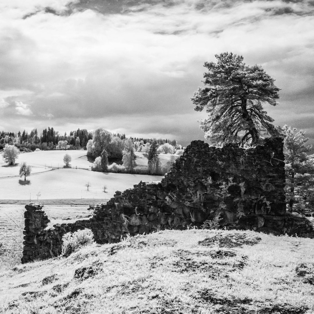 Second summer vacation day, I have too many nice shots to sort from the last shooting and there is the sun coming out, thus I'm actually not in the mood to sit in front of the PC :-)
An IR shot I recently saw in Athena's @athenacarey profile reminded me, that I never had tried the Leica M10M for infrared shots. Found and dedusted the IR filters and tried them on a Summicron 50mm: Need a hood, funny reflection when too much sun, can't remember the filter IR range as no marking on it, not too suitable for manual shots either. Second filter was R72 and fitted on an Elmarid 28mm, filter was bright enough for handheld shots in sunny environment, even on 5.6. First tests on the balcony are fun. I had another flash of inspiration as a picture I saw in Helmis @helmi_sigg profile reminded me, that I have a nice castle just around the corner. First test was successful :-)
.