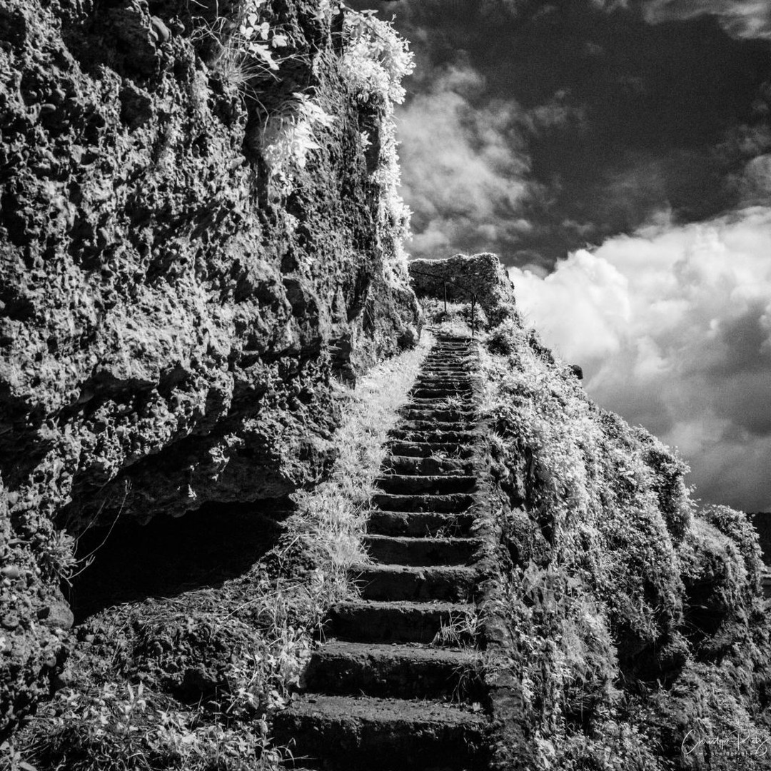 Second summer vacation day, I have too many nice shots to sort from the last shooting and there is the sun coming out, thus I'm actually not in the mood to sit in front of the PC :-)
An IR shot I recently saw in Athena's @athenacarey profile reminded me, that I never had tried the Leica M10M for infrared shots. Found and dedusted the IR filters and tried them on a Summicron 50mm: Need a hood, funny reflection when too much sun, can't remember the filter IR range as no marking on it, not too suitable for manual shots either. Second filter was R72 and fitted on an Elmarid 28mm, filter was bright enough for handheld shots in sunny environment, even on 5.6. First tests on the balcony are fun. I had another flash of inspiration as a picture I saw in Helmis @helmi_sigg profile reminded me, that I have a nice castle just around the corner. First test was successful :-)
.