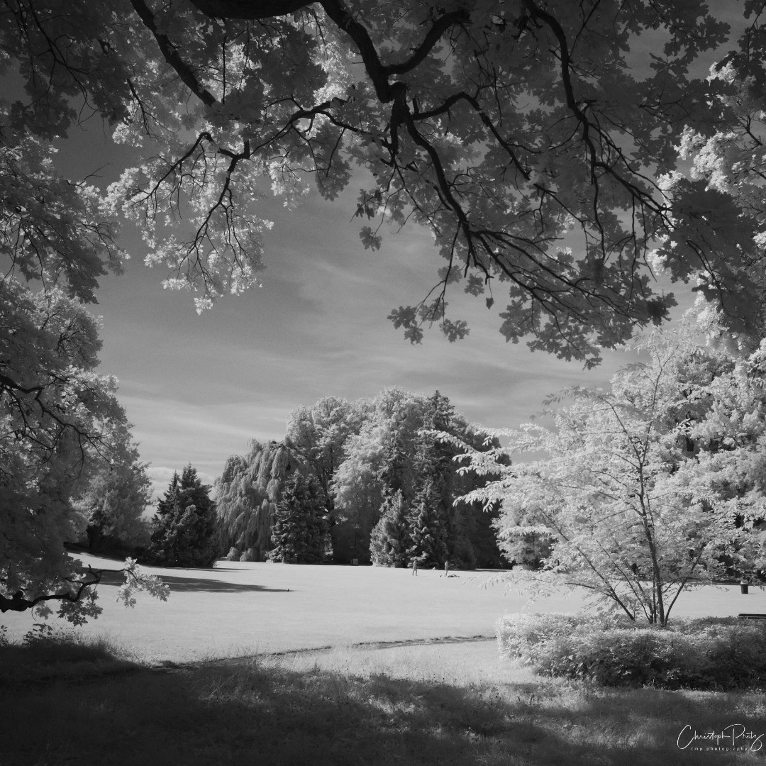 On the way to our yearly Lake Zurich boat trip with a good friend I took a few IR snaps in the Arboretum. I think I want to discover more of Zurich in IR looking at this pic's more or less straight out of the camera...
(probably not yet abstract enough for my "homework" in the group, but I give it a try :-)
.