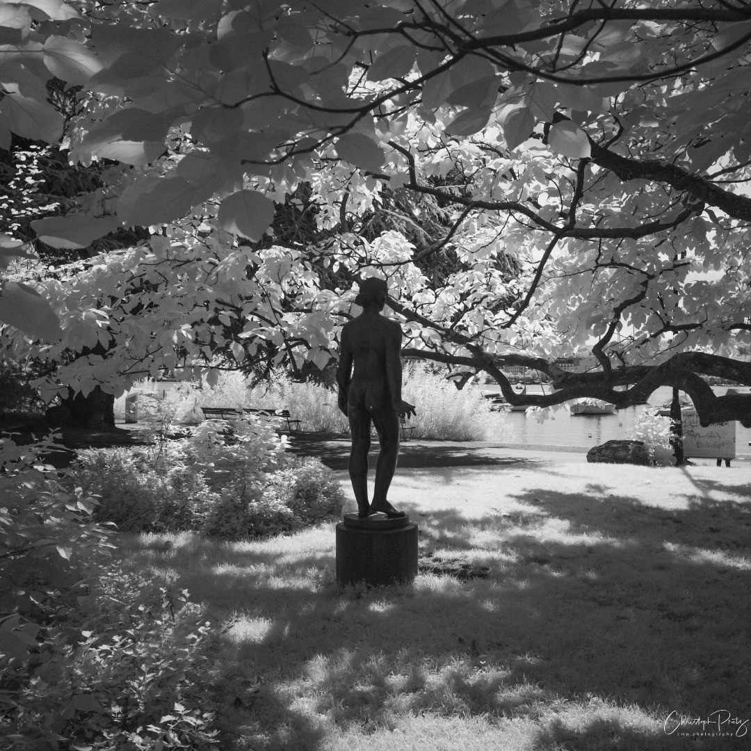 On the way to our yearly Lake Zurich boat trip with a good friend I took a few IR snaps in the Arboretum. I think I want to discover more of Zurich in IR looking at this pic's more or less straight out of the camera...
(probably not yet abstract enough for my "homework" in the group, but I give it a try :-)
.