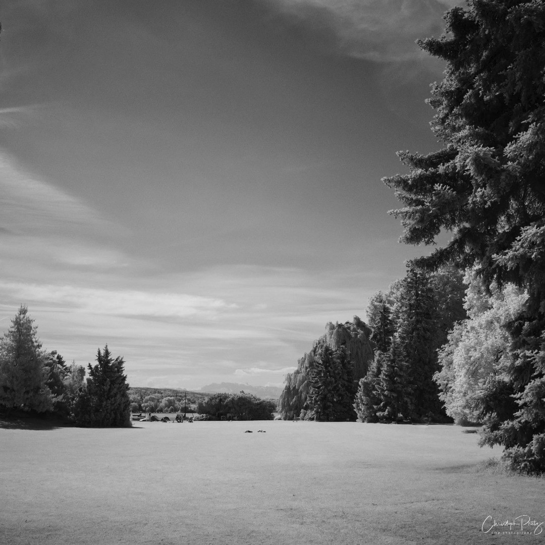 On the way to our yearly Lake Zurich boat trip with a good friend I took a few IR snaps in the Arboretum. I think I want to discover more of Zurich in IR looking at this pic's more or less straight out of the camera...
(probably not yet abstract enough for my "homework" in the group, but I give it a try :-)
.