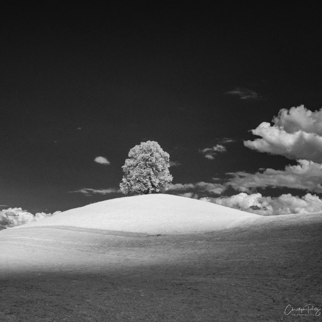 After so many rainy days I wanted to get closer to the drumlin hill that is so famous and which I until now only took pictures from far. Nice summer walk with the gf, a little much up and downs over the many tiny hills though :-)
So many hills with trees...