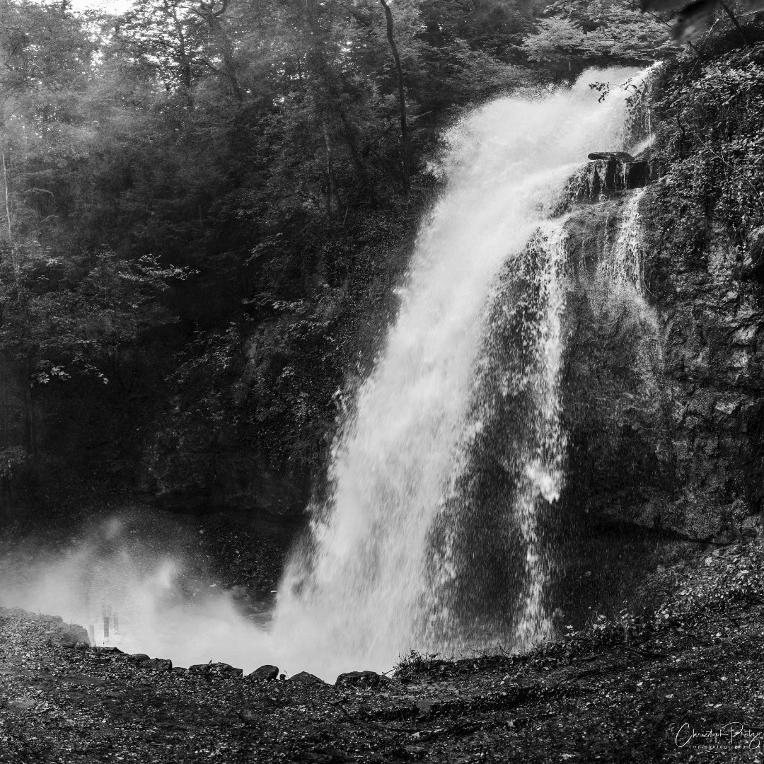 We currently have the heaviest rain falls in Switzerland we've seen in a while and the lakes and rivers start to overflow their banks.
The Giessbachfall in Wädenswil normally has a fraction of the amount. With over 20 meters hight it is the second highest water fall in the canton of Zurich (after the Rhein fall). Funny enough that it is very hidden at one end of the town and mostly only the locals know it. Anything closer than 15 meters ended in a shower today, never seen that much water in the 20 years I live nearby. Well and the M10M seems to be adequately weather proof (never seen that baby that wet :-)

@euses_waedenswil @giessbachfall
d