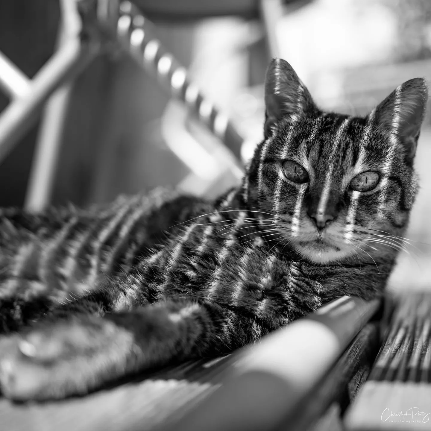 OK, this triptychon is probably only something for the geeks amongst you. I just received my Leica APO-Summicron-M 35mm f/2 ASPH and played around in the afternoon and on our evening walk. The close focus feature is really cool. If I had to choose only one lens, that one would probably be my first choice from now on. Photos are shot on a Leica M10R on iSO 100 or 125 with f2.

  #artwork  #creative  #mood  #availablelight  #naturallight  #sunlight 